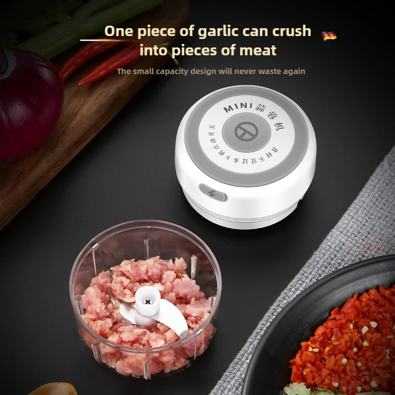 Elektrischer Mini-Knoblauchzer – Baby Food Grinder Bewertung und Preis