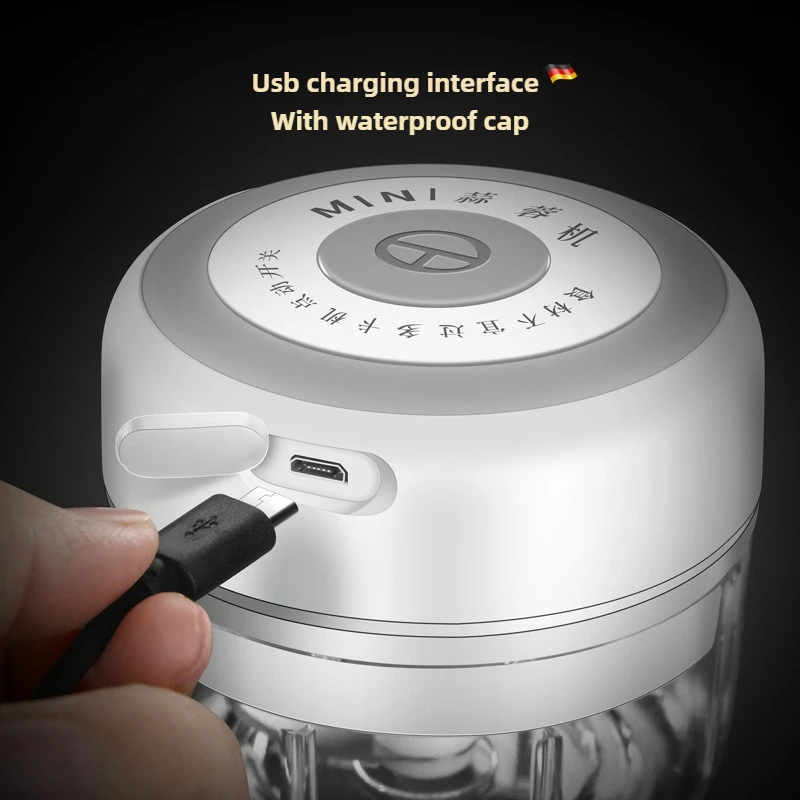 Elektrischer Mini-Knoblauchzer – Baby Food Grinder Bewertung und Preis