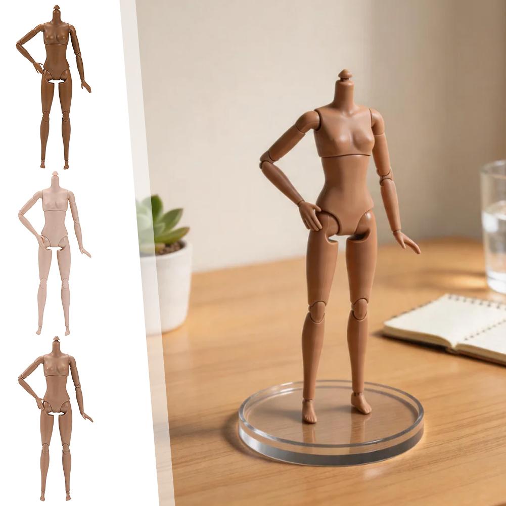 1/6 Maßstab Bewegliche Yoga-Fi – Baby Food Doll Bewertung und Preis