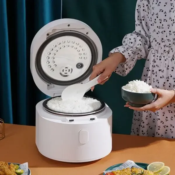 110V Smart-Reiskocher 3L Reisk – Baby Food Japan Bewertung und Preis